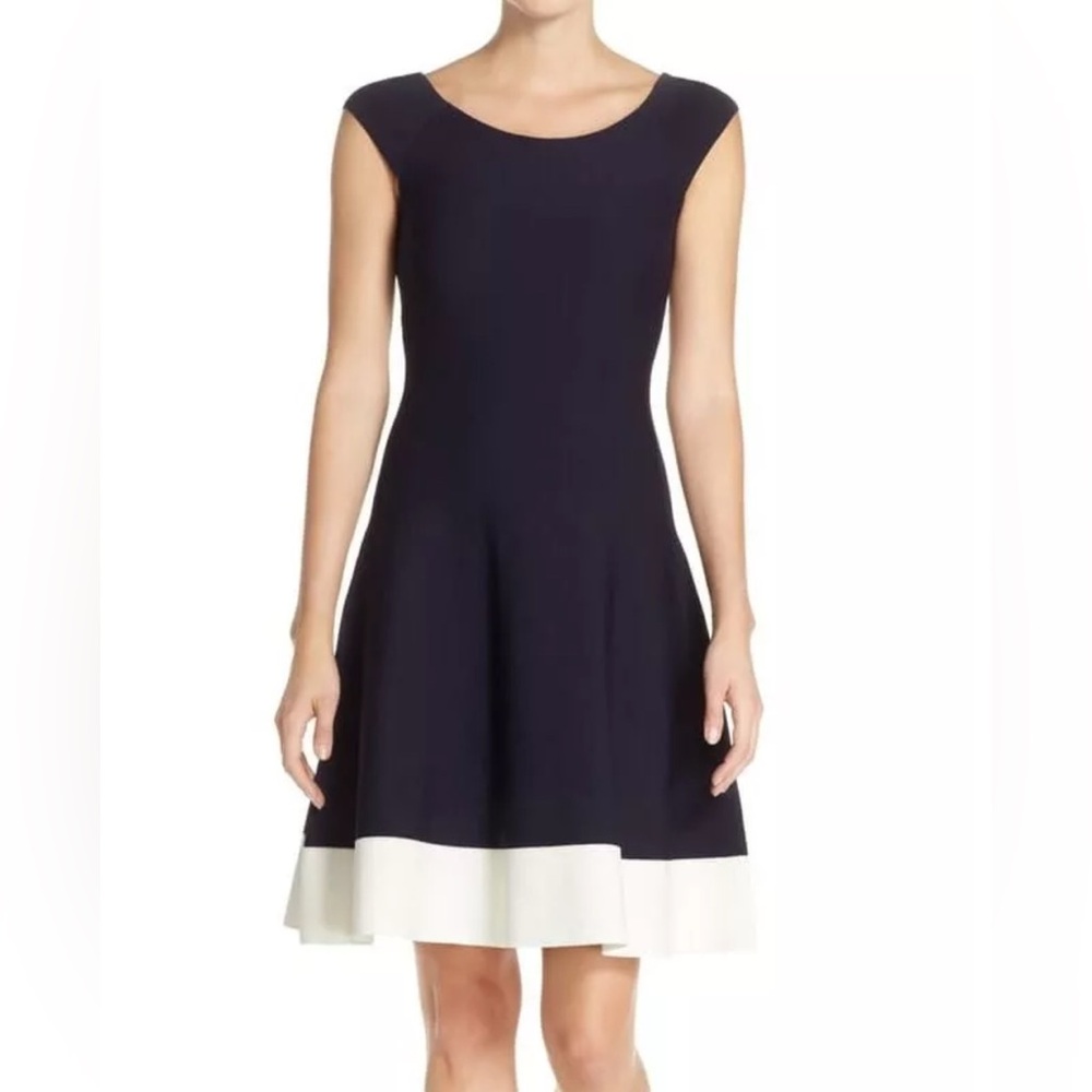 Eliza J Navy and White Mini Dress